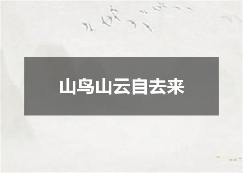 山鸟山云自去来