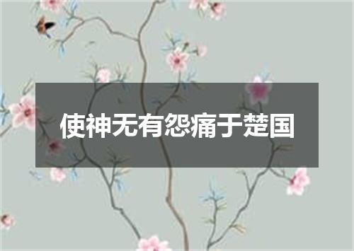 使神无有怨痛于楚国