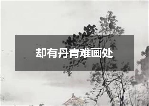 却有丹青难画处