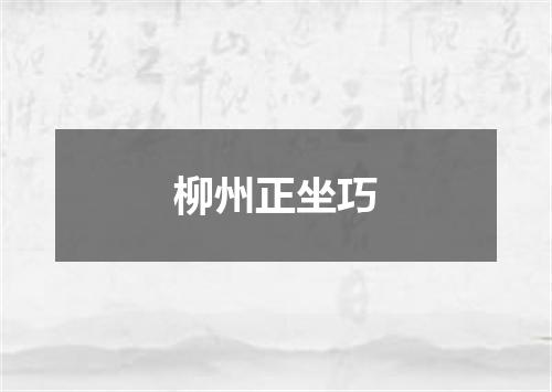 柳州正坐巧