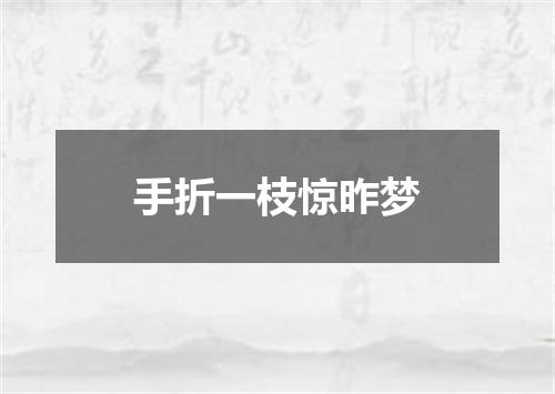 手折一枝惊昨梦