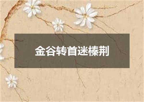金谷转首迷榛荆