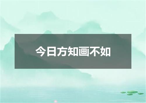 今日方知画不如