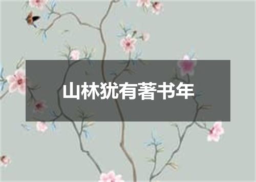 山林犹有著书年
