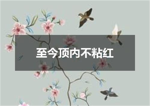 至今顶内不粘红