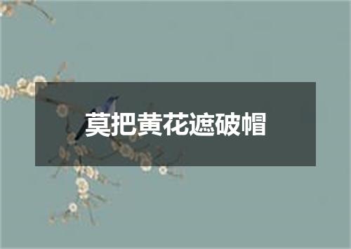 莫把黄花遮破帽