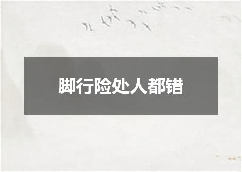 脚行险处人都错