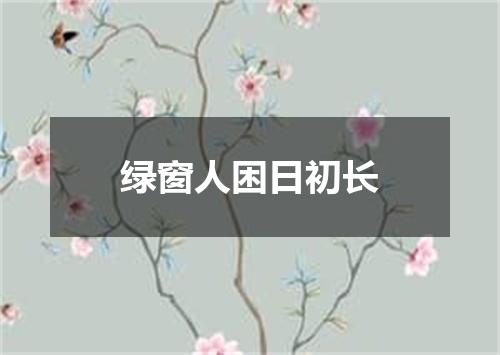 绿窗人困日初长