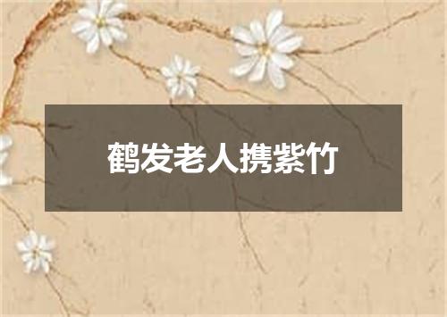 鹤发老人携紫竹