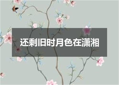 还剩旧时月色在潇湘