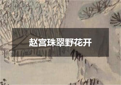 赵宫珠翠野花开