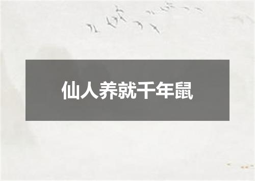 仙人养就千年鼠