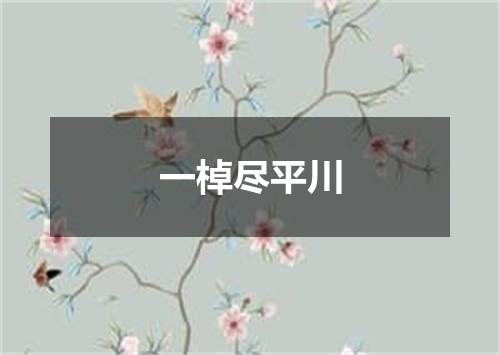 一棹尽平川