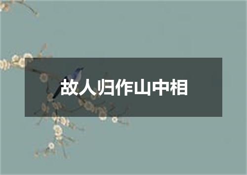 故人归作山中相