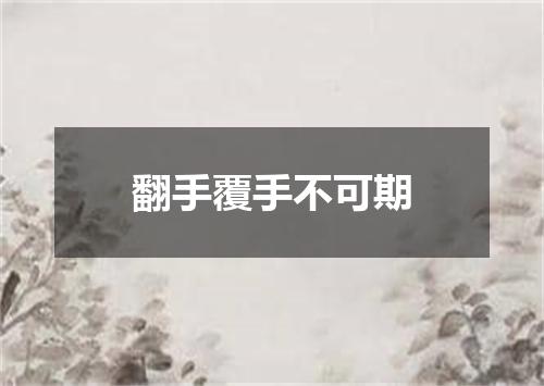 翻手覆手不可期