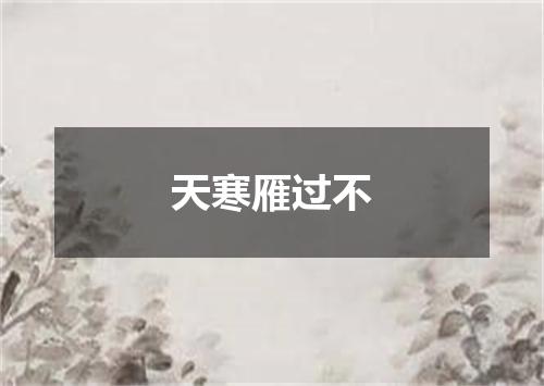 天寒雁过不