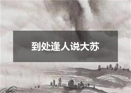 到处逢人说大苏