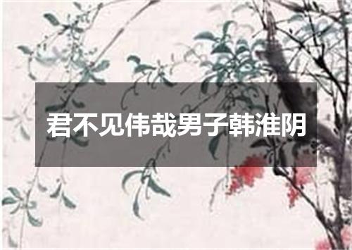 君不见伟哉男子韩淮阴