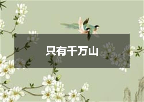 只有千万山