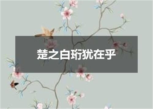 楚之白珩犹在乎