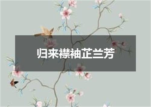 归来襟袖芷兰芳