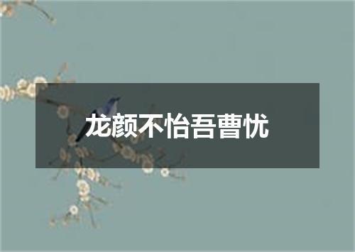 龙颜不怡吾曹忧