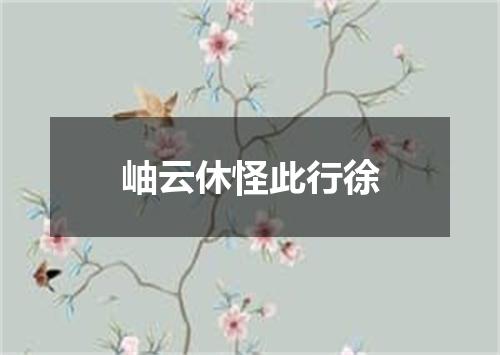 岫云休怪此行徐
