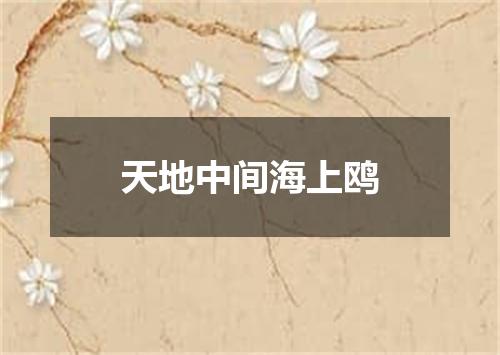天地中间海上鸥