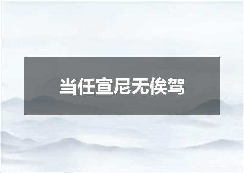当任宣尼无俟驾