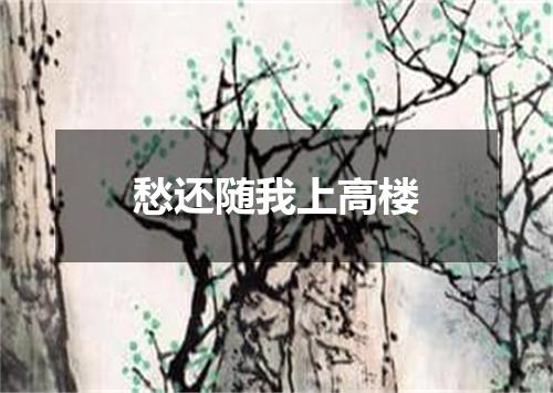 愁还随我上高楼