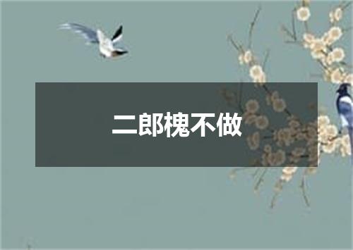 二郎槐不做
