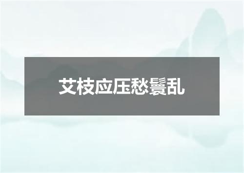 艾枝应压愁鬟乱