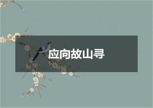 应向故山寻