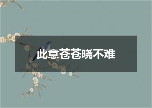 此意苍苍晓不难