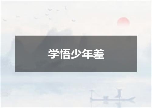 学悟少年差