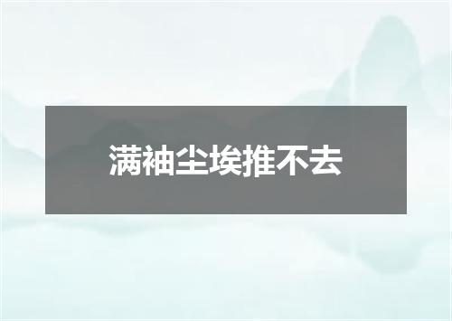 满袖尘埃推不去