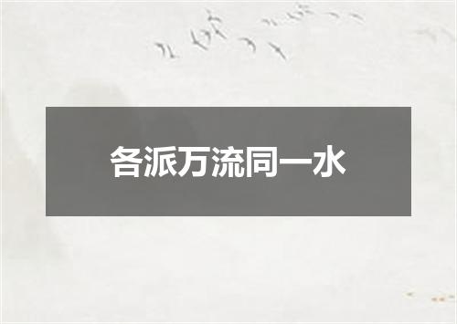 各派万流同一水