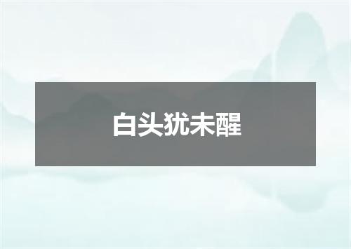 白头犹未醒