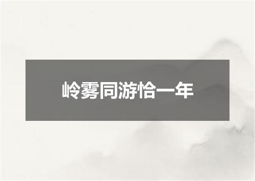 岭雾同游恰一年