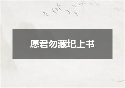 愿君勿藏圯上书