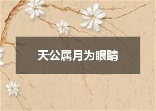 天公属月为眼睛