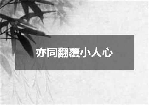 亦同翻覆小人心