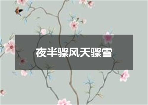 夜半骤风天骤雪