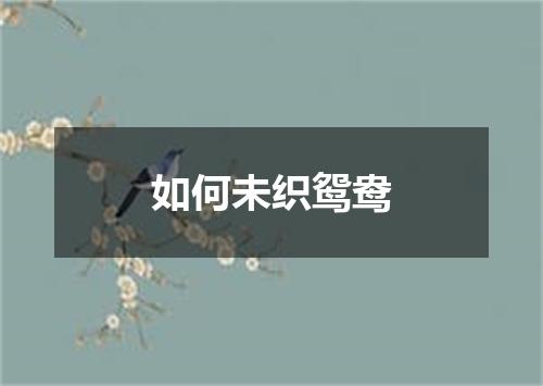 如何未织鸳鸯