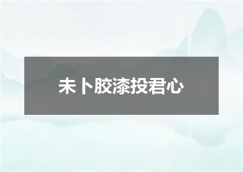 未卜胶漆投君心