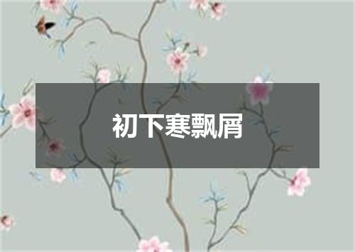初下寒飘屑