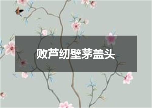 败芦纫壁茅盖头