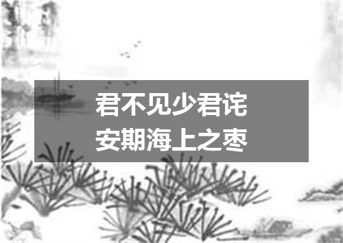 君不见少君诧安期海上之枣