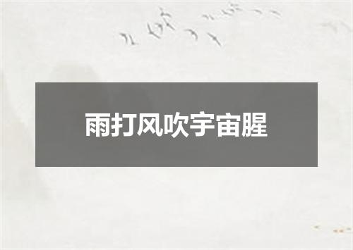 雨打风吹宇宙腥