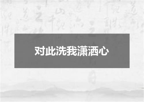 对此洗我潇洒心
